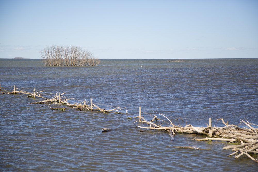 quill-lakes-water-crisis-receives-international-attention-duc