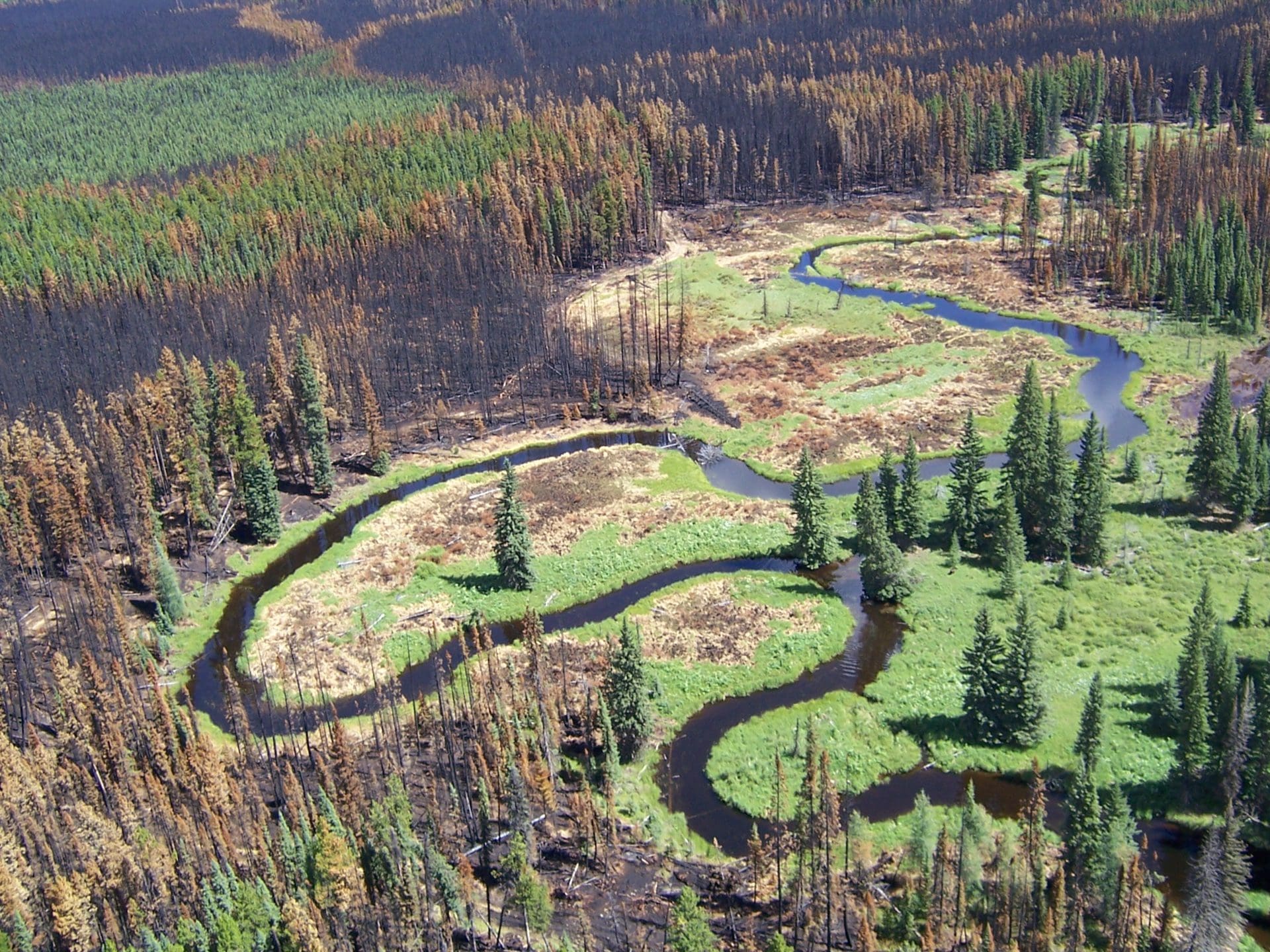 Watershed Security Is Key To Creating Resilience To Drought And Fire