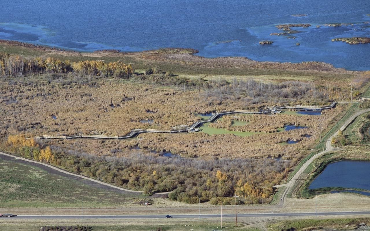 Wetland watermark: There's a giant duck hidden on a St. John River