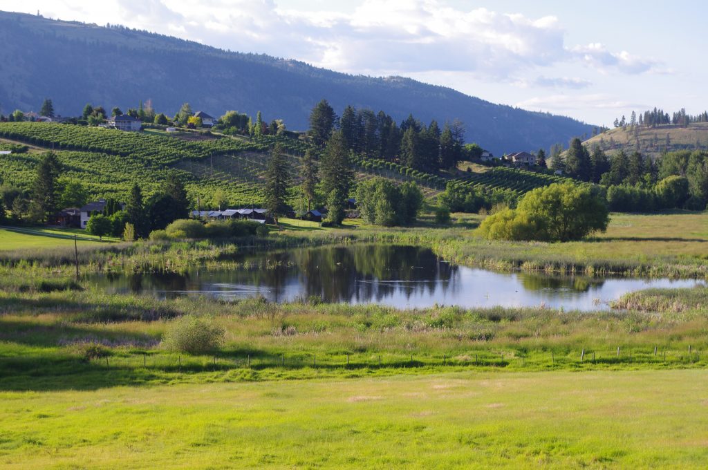 New wetlands added to Marsh Lake project — Ducks Unlimited Canada