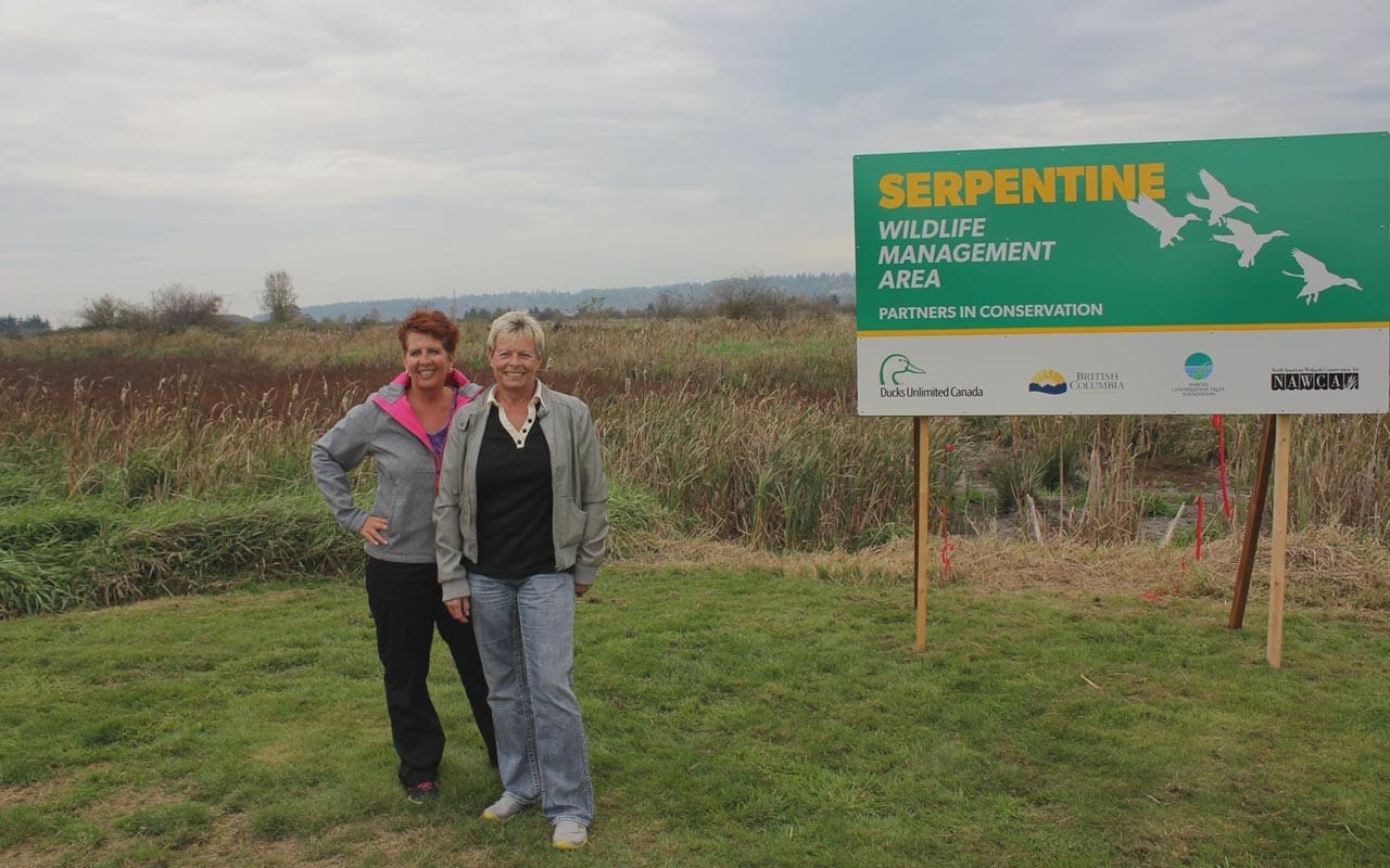 Years of wetland walks inspire help for Serpentine
