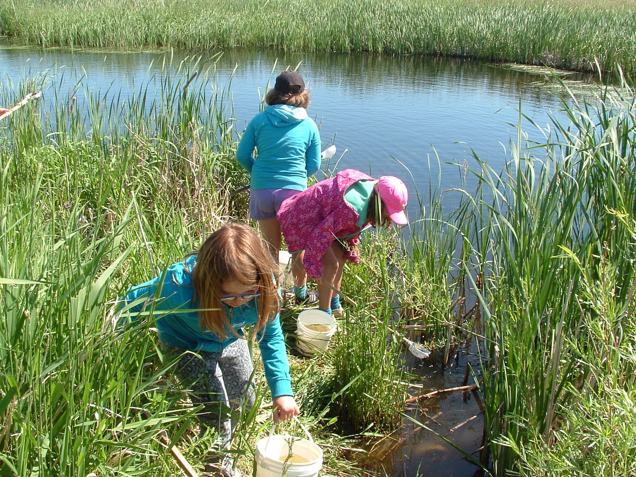 Out of the classroom, into the Manitoba Marsh - DUC Lizard Lake project