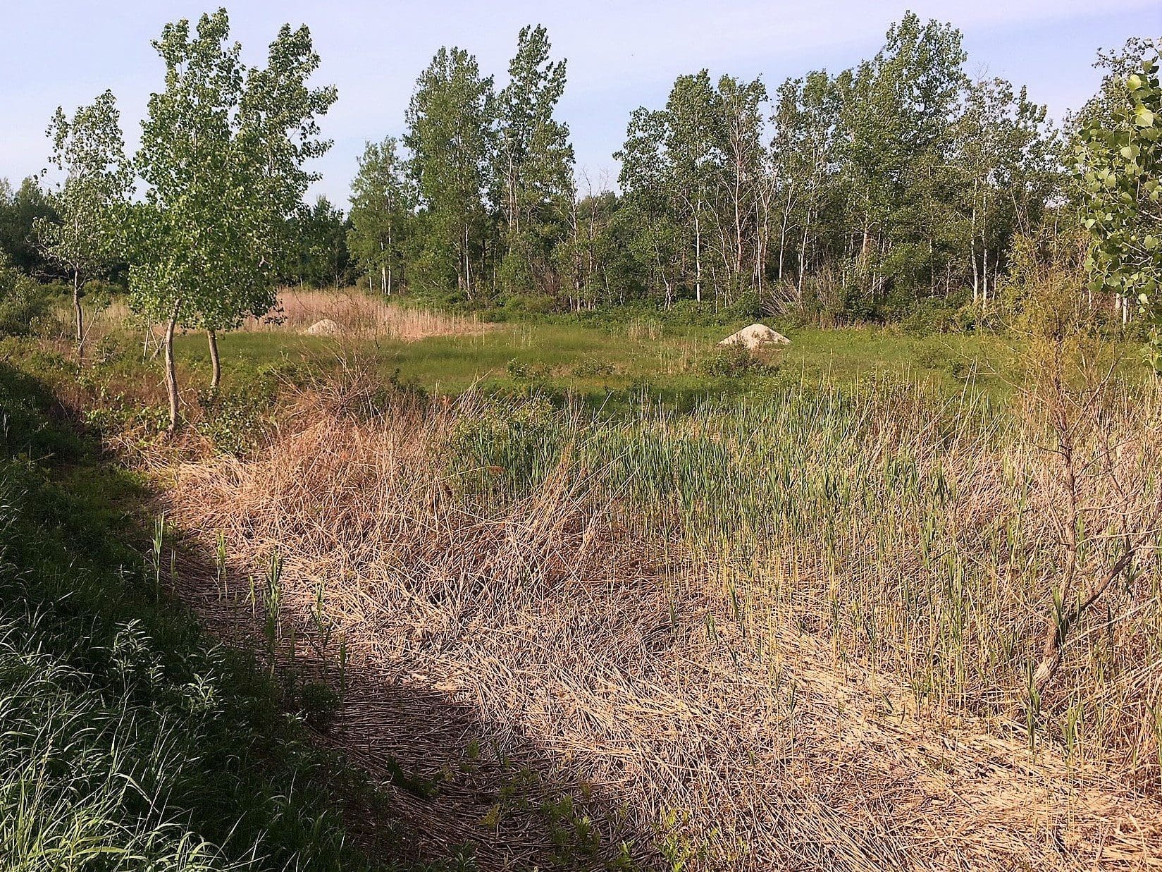 The Path From Pit To Paradise Ducks Unlimited Canada