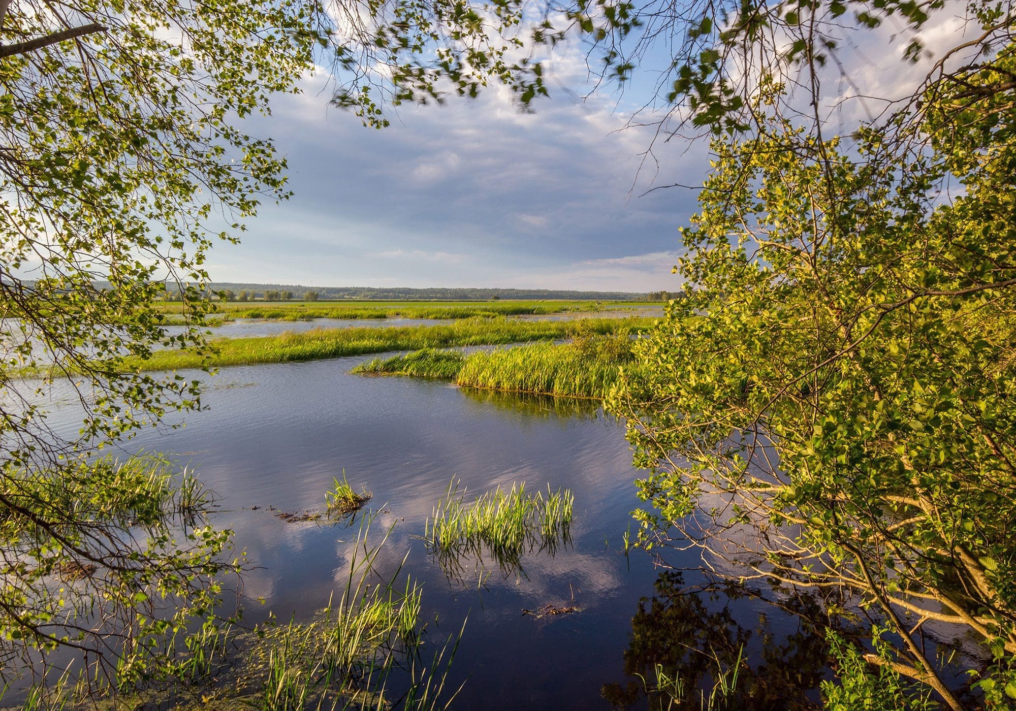 The Bay of Fundy and Its Wetlands (Canada)