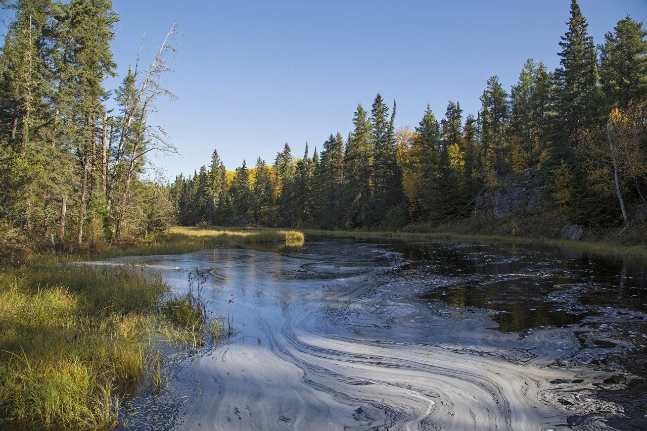 Conserving 54 million acres of Manitoba’s boreal wetlands — Ducks