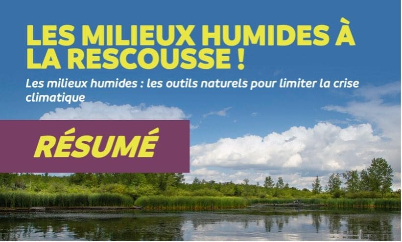 Les Milieux Humides à La Rescousse! - Résumé — Ducks Unlimited Canada