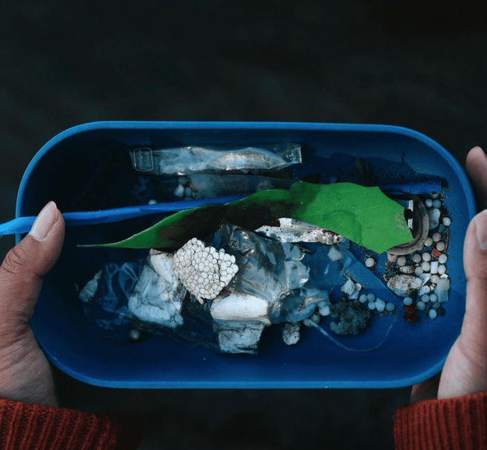 Plastic collected at Petrie Island wetlands