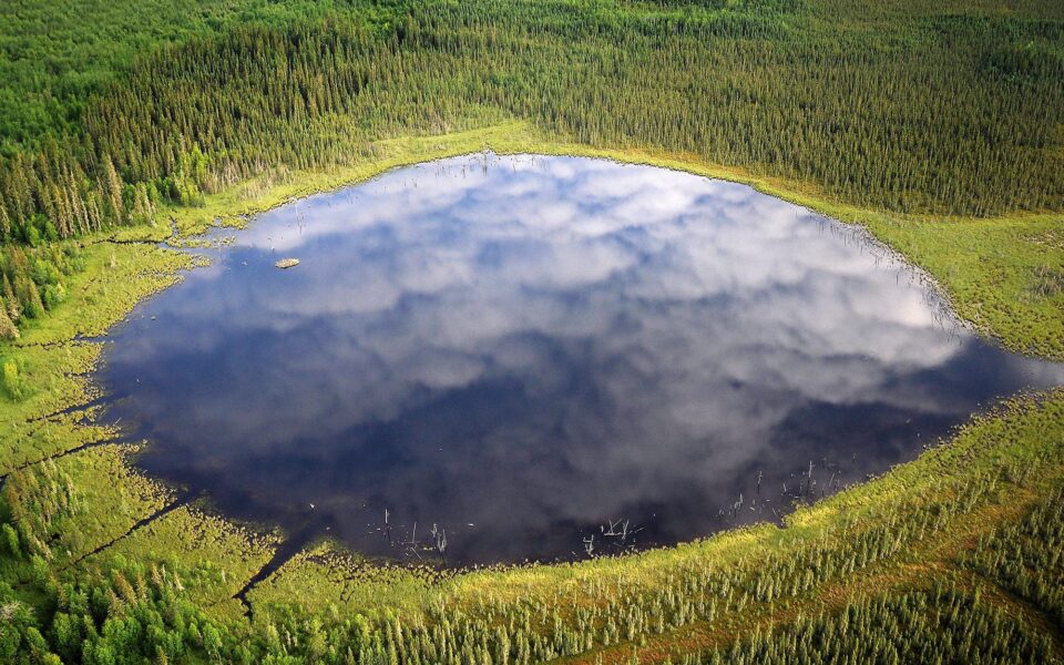 The improbable world of Canada’s peatlands