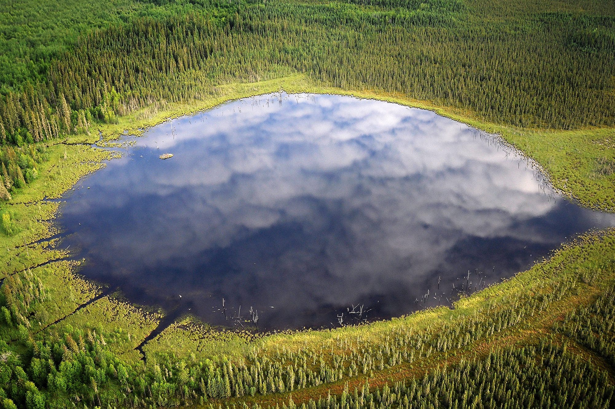 Could an Indigenous conservation area in Hudson Bay be key to saving  peatlands?