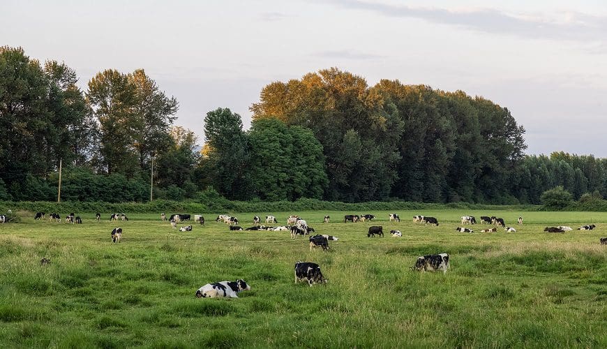 Celebrating the cream of the crop — Ducks Unlimited Canada