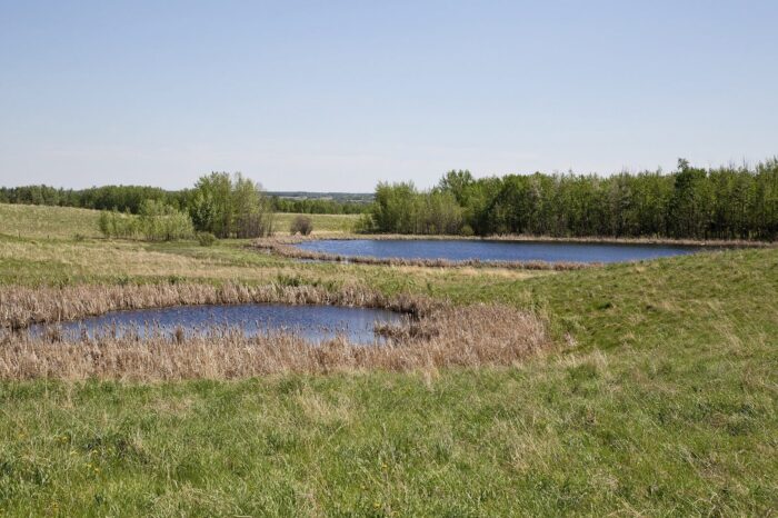 Ducks Unlimited Canada wetland project