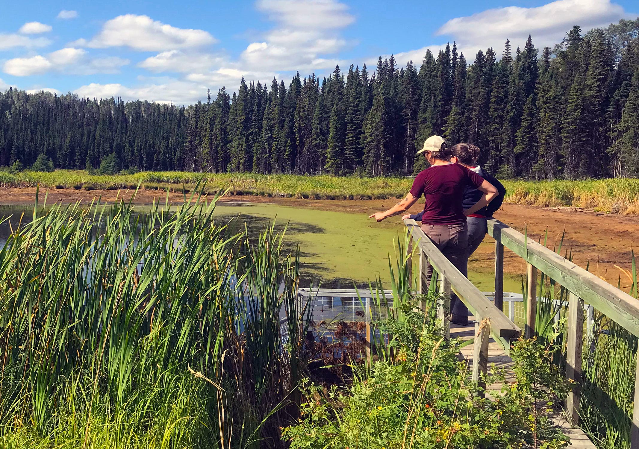 Explore Wetlands in Canada — Ducks Unlimited Canada