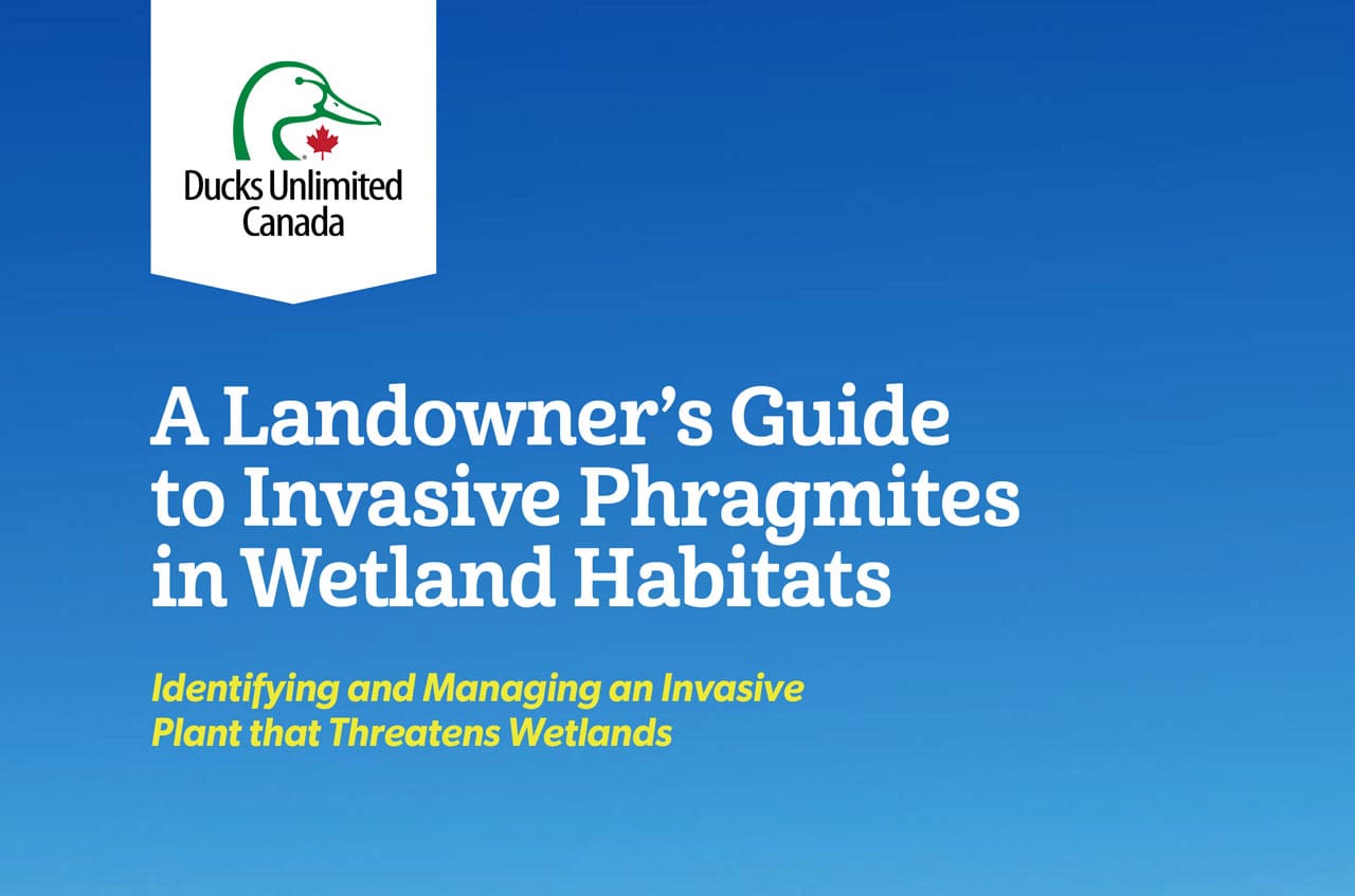 Landowner guide to invasive species cover