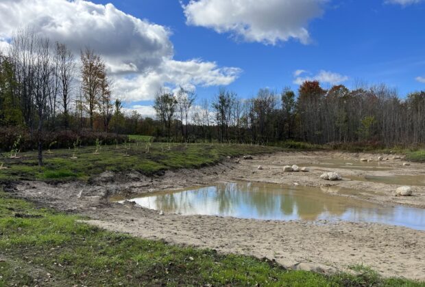 The Cullen Wetland: Restoring what was lost
