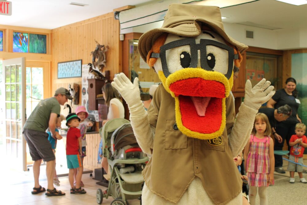 Kick start your summer at Duck Day in Fredericton