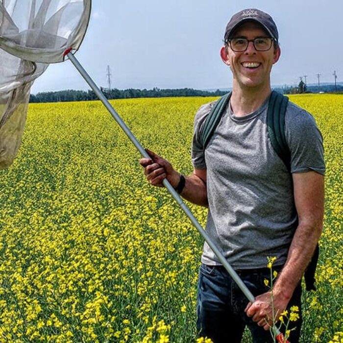 Paul Galpern with his pollinator net in a canola field