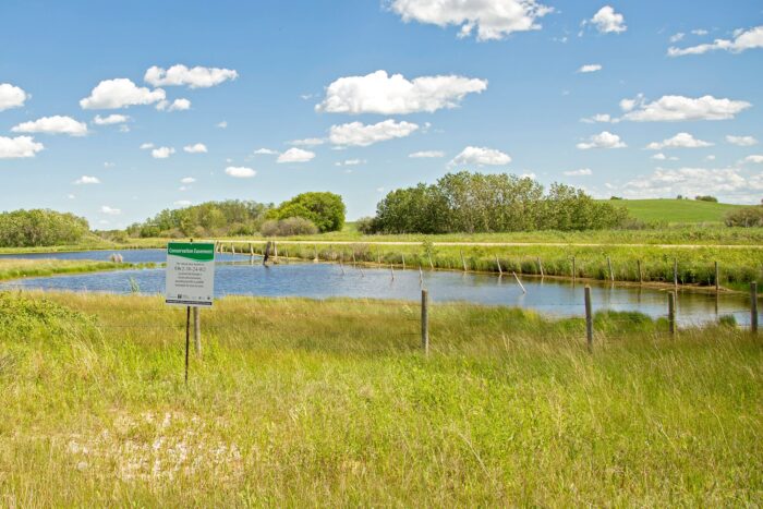 Conservation easement on a prairie wetland.