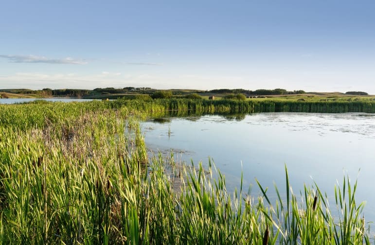 Prairie wetlands enhance properties