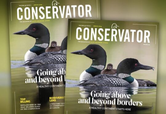 two conservator magazine covers