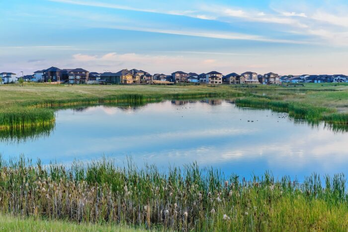 The naturalized wetland in Saskatoon is boosting the community’s biodiversity and ecological health.
