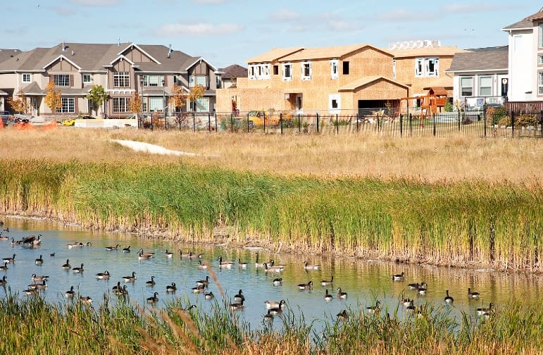 Urban wetland retention pond