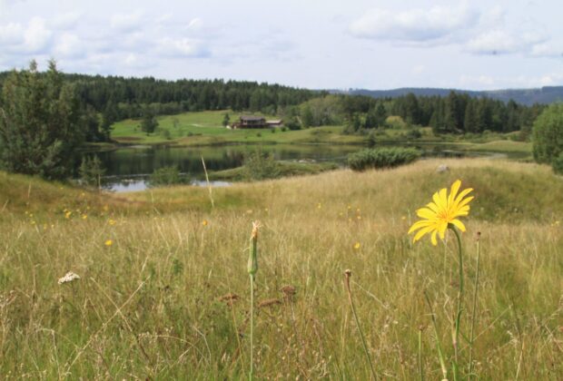 New Ducks Unlimited Canada Tool Maps Prairie Biodiversity 