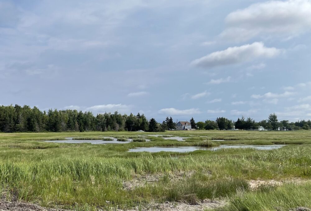 A rare seaside parcel on a highly developed coastline near Village-des-Poirier was donated by the Jean family on the Acadian Peninsula. 