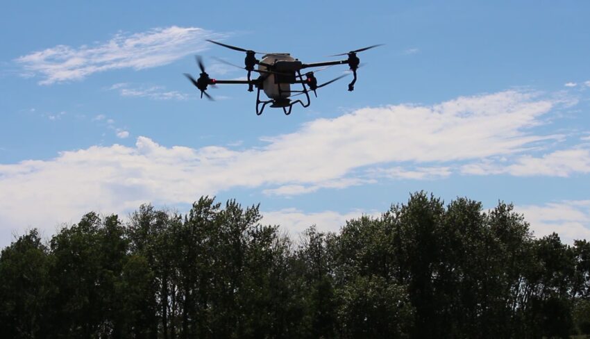 ADOPT project explores feasibility of seeding forages with drones