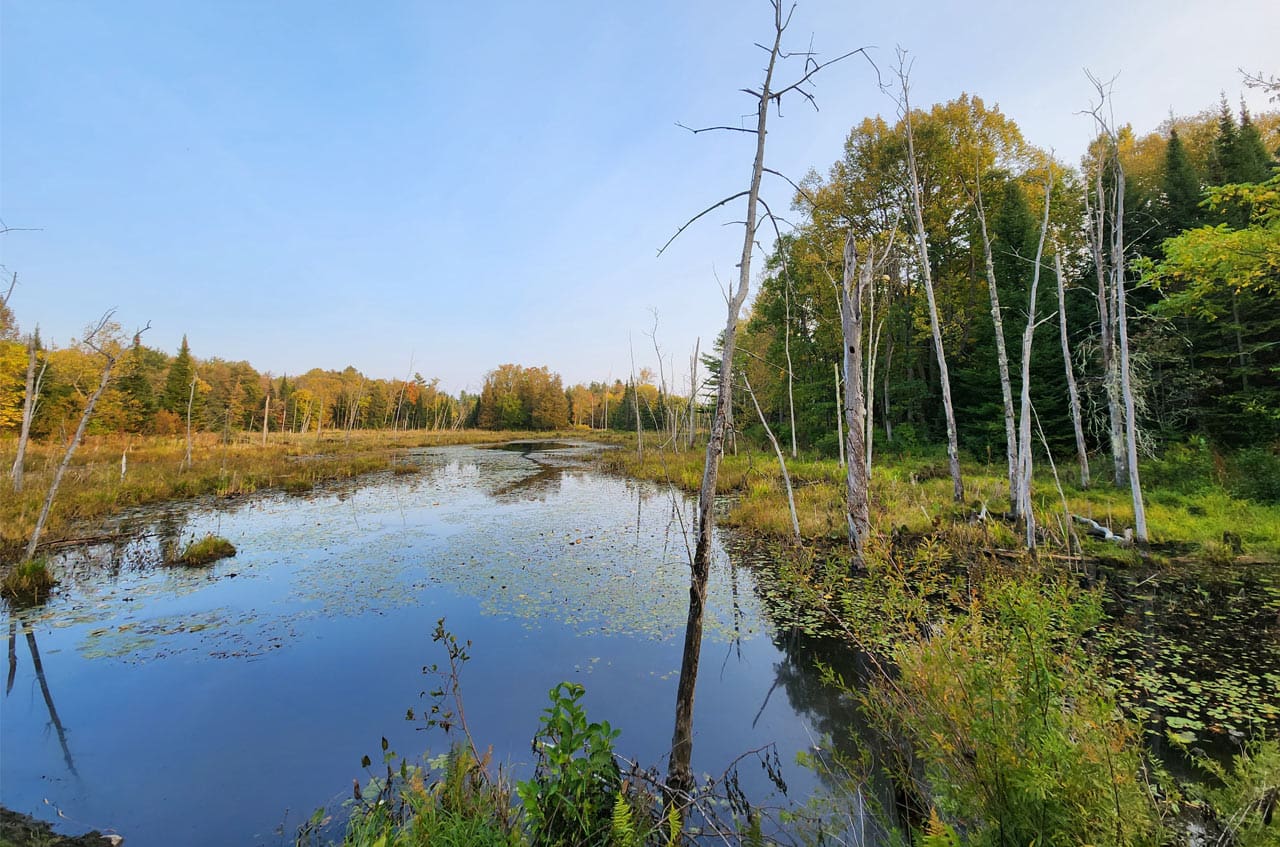 Photo Credit: Jacob Demers, Ducks Unlimited Canada