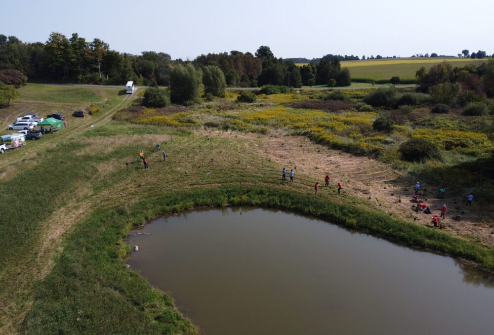 Aerial view of tree planting taking place surrounding the newly constructed wetland.