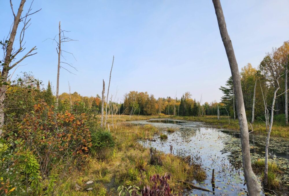 Grand Calumet Island