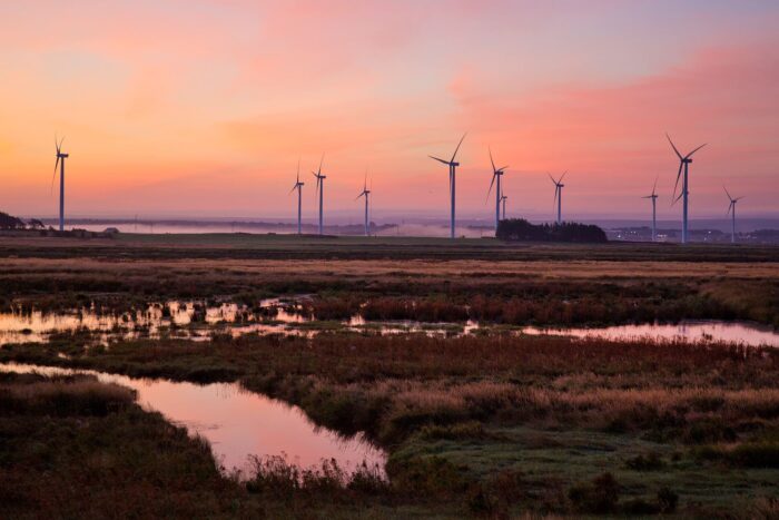 Salt marshes in the Chignecto Isthmus, a narrow, low-lying region that connects Nova Scotia and New Brunswick, help protect a vital transportation and trade corridor.