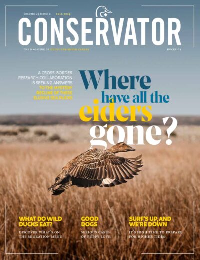 Conservator Magazine