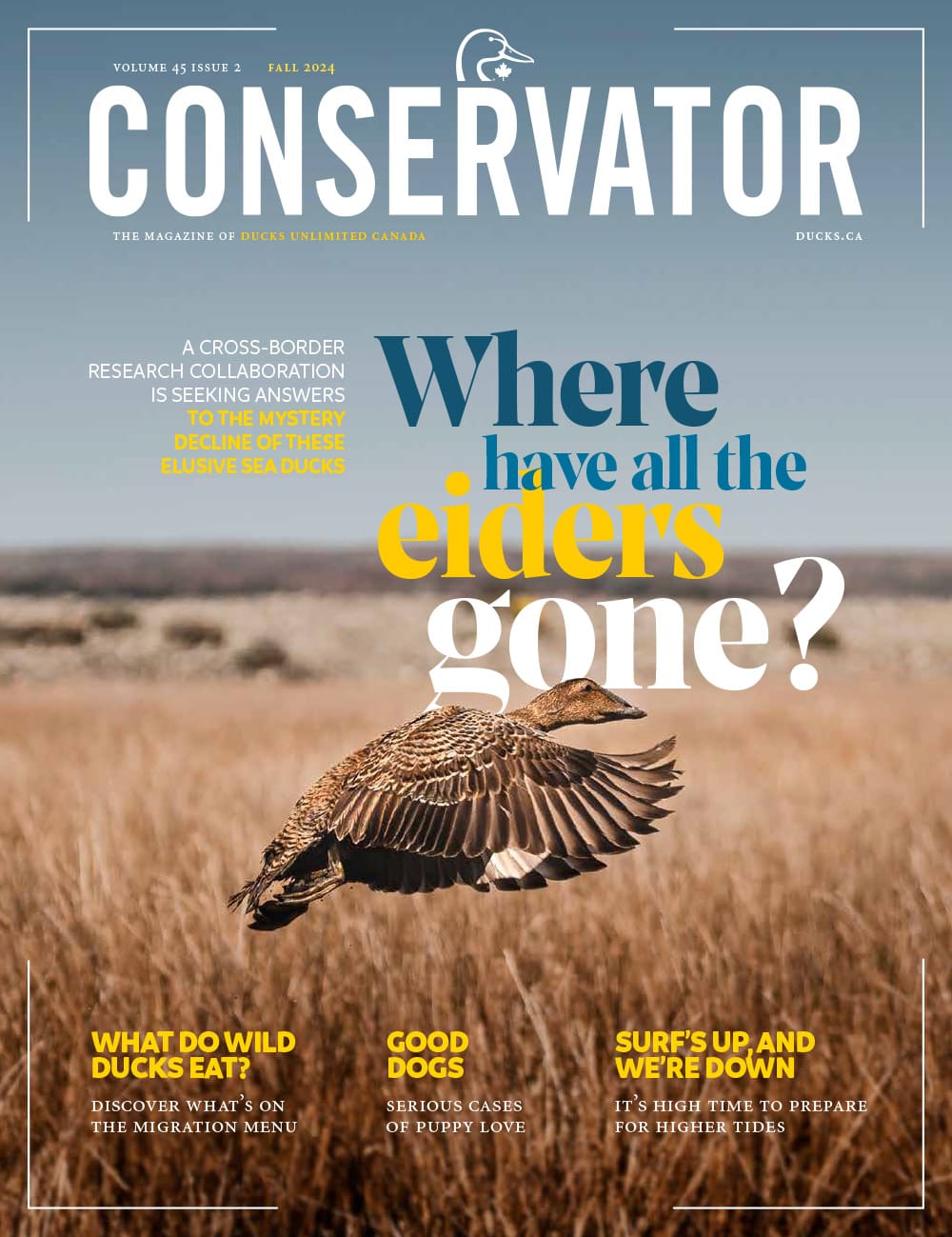 Conservator magazine conservator