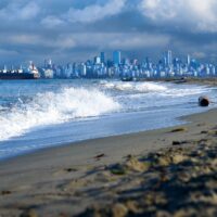 What are coastal salt marshes?