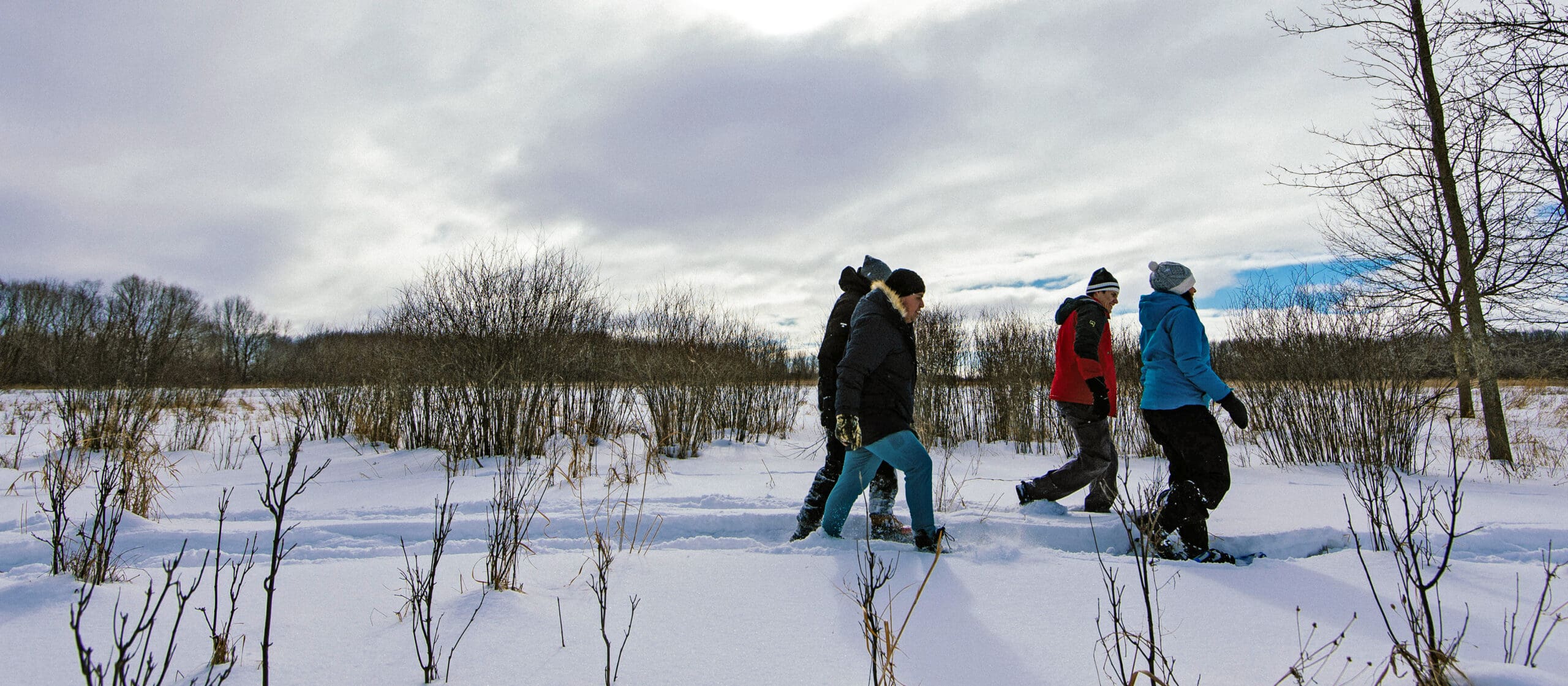 A group of people walking through a wetland in winter.