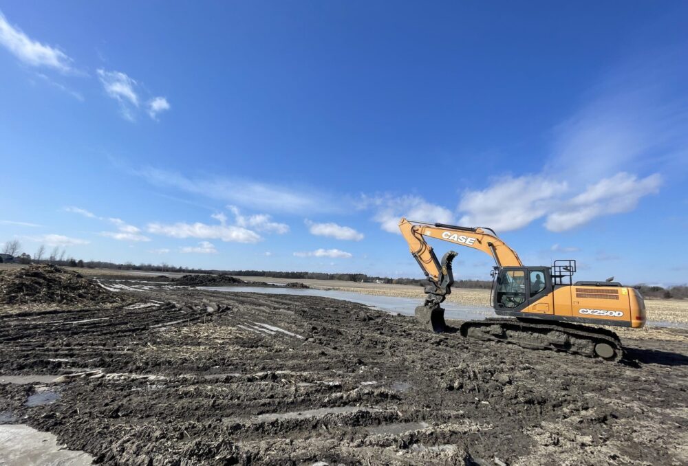 Construction of the wetland.