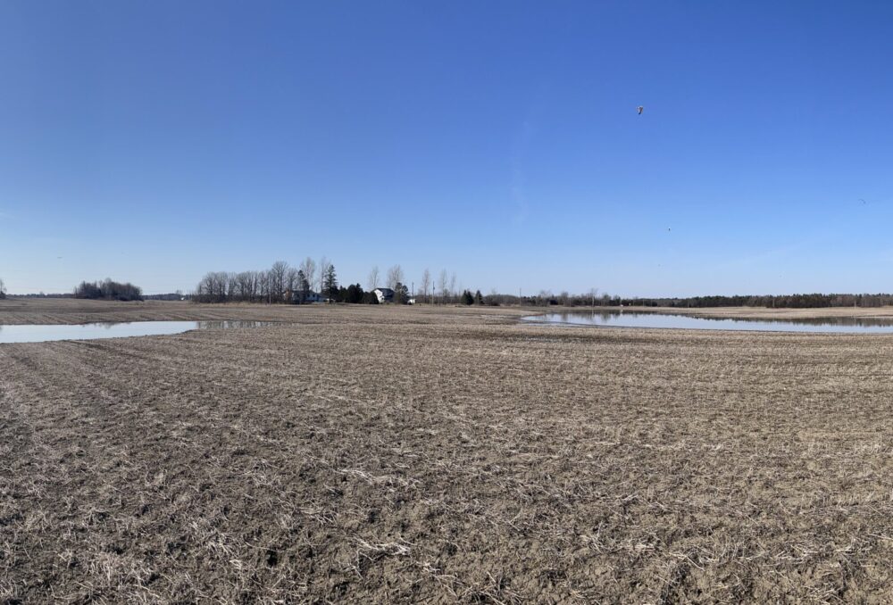 Wetland project site after a few rains.