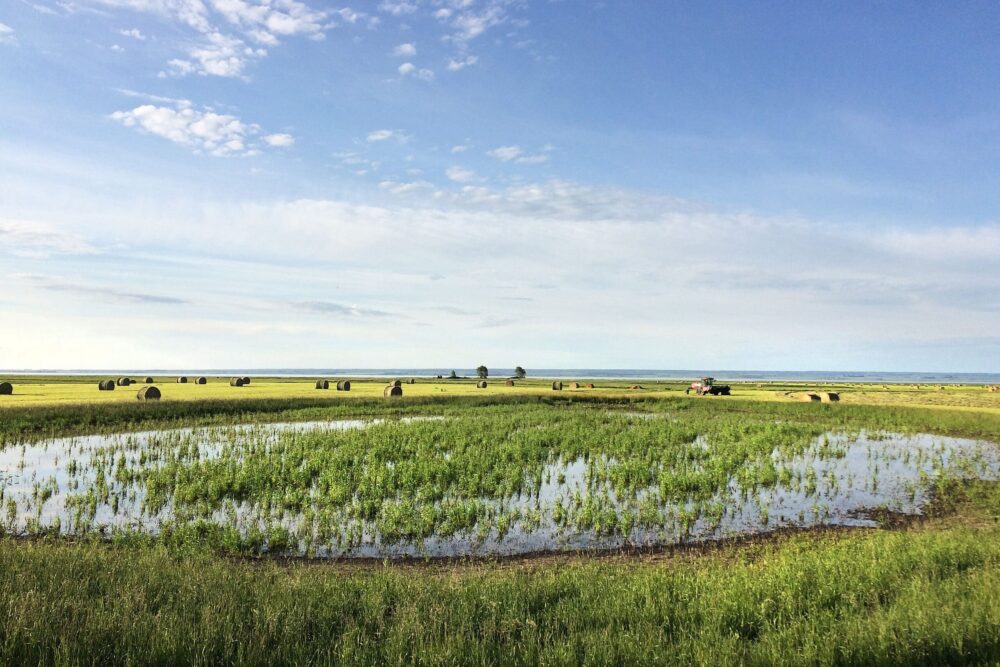 Ducks Unlimited Canada and partners celebrate – ‘Wetlands at work’ on World Wetlands Day