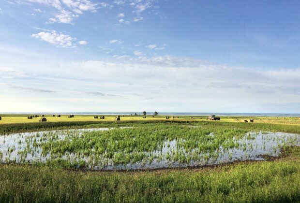 Ducks Unlimited Canada and partners celebrate “Wetlands at work” on World Wetlands Day