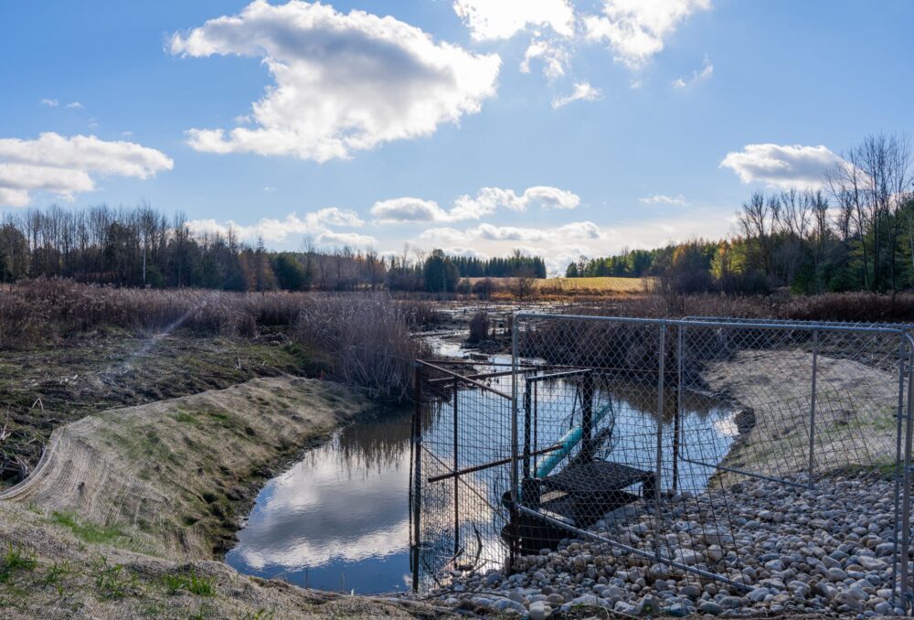 The Forbes wetland after the most recent maintenance, which requires the wetland to be temporarily drained.