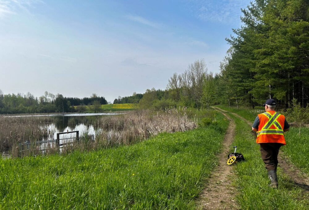 Summer site inspection at the Forbes wetland.