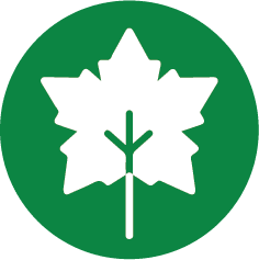 leaf icon