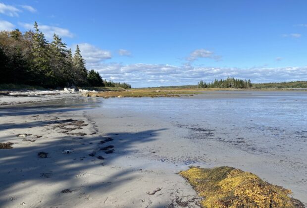 South Shore sanctuaries