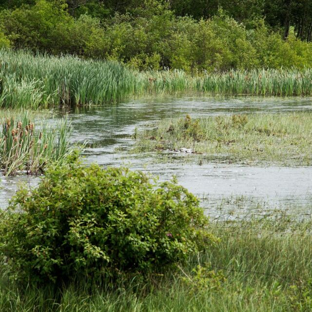 Hunters: the original Marsh Keepers - Ducks Unlimited Canada